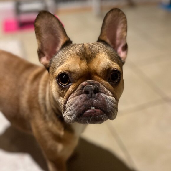 Meet your Posher, Angella - Picture 14 of 15